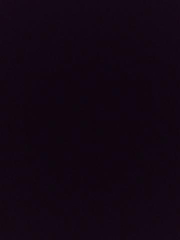 Белла Одна Радость фото 2